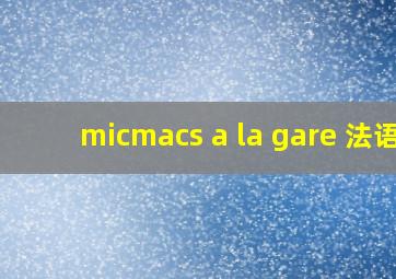 micmacs a la gare 法语